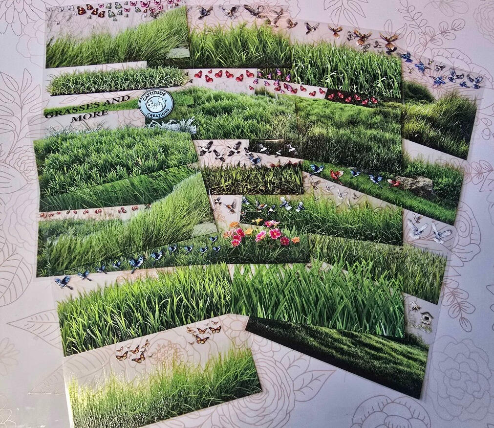 PRICE REDUCED! grasses and more 2nd launch 10cm x 100cm $7.50/loop